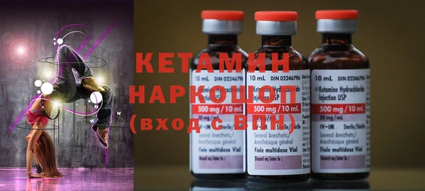 индика Бородино