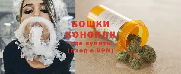индика Бородино
