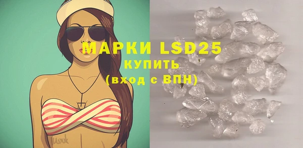 индика Бородино