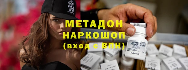 индика Бородино
