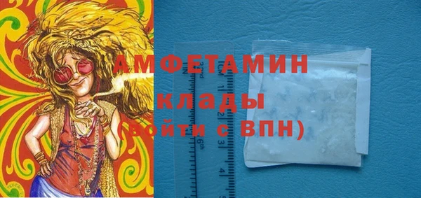 индика Бородино