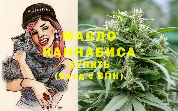 индика Бородино