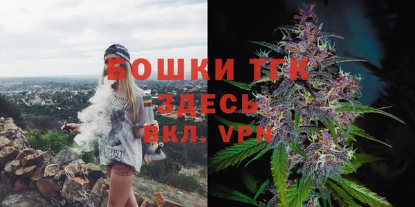 мдпв Верея