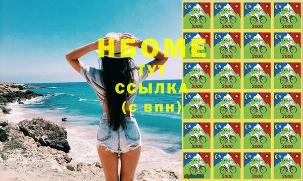 индика Бородино