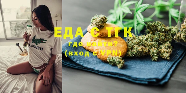 индика Бородино
