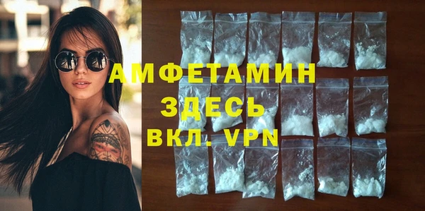 индика Бородино